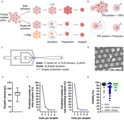 Phenotypical Diversification of Early IFNα-Producing Human Plasmacytoid Dendritic Cells Using Droplet-Based Microfluidics